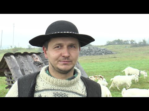 Jedyne takie stado i bacówka na Podhalu