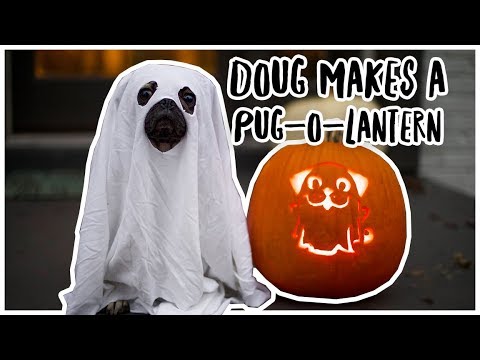 Doug Makes a Pug-O-Lantern - Doug The Pug