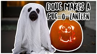 Doug Makes a Pug-O-Lantern - Doug The Pug