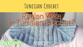 Raglan Yoke in Tunisian crochet!