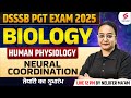 DSSSB PGT Biology Classes 2025 Human Physiology Neural Coordination By Nelofar Ma Am