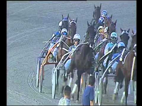 Trotto 04/10/2015 - 8° corsa