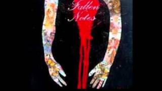 Fallen Notes - Hidden Darkness on Frets (acoustic)