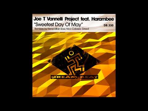 Joe T Vannelli Project feat Harambee -  Sweetest Day Of May (Knee Deep's Vocal Hymn Mix)