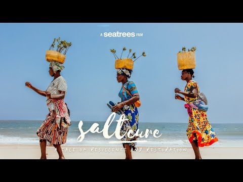 Seatrees+ Mangrove Restoration in Marereni, Kenya