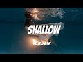 Shallow - Fleurie (lyrics)