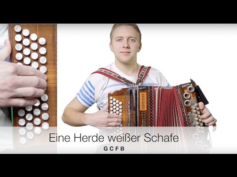 Eine Herde weißer Schafe | Lernvideo | GCFB | Quetschn Academy | Steirische Harmonika