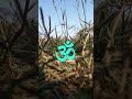 Om Chanting Remove Negative Energy Om Meditation Sound Shorts Shot