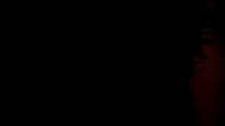 Hidden in Plain View-Halcyon Daze