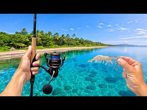 Remote Beach Fishing Australia (Eat What You Catch)