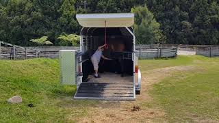 Ari Tries Out Debbie's New Trailer