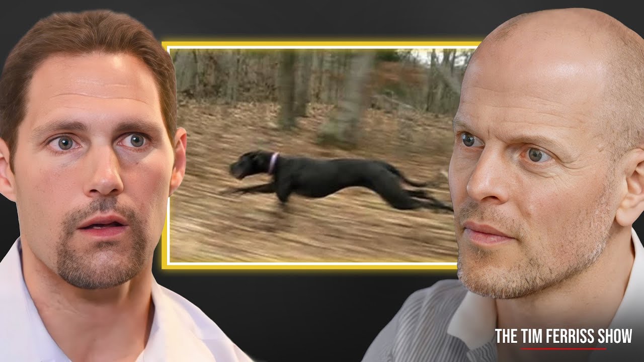 The Optimized Diet This Neuroscientist Feeds His Dogs — Dr. Dom D'Agostino