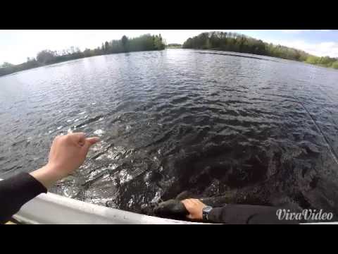 4,7kg toutain 22.5.2015