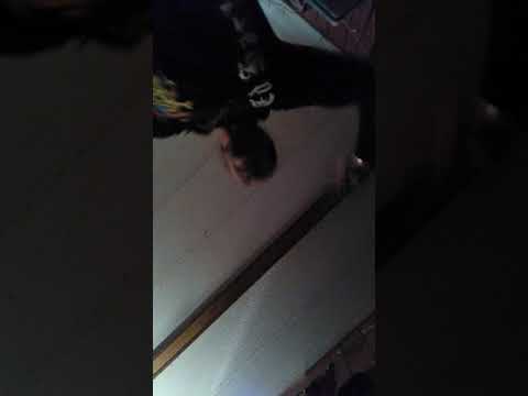 Blazzing Rapping freestyle artist