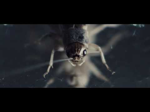 PRIEST - THE PIT (Official Video)