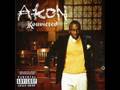 Akon-I Wanna Love You(Clean)
