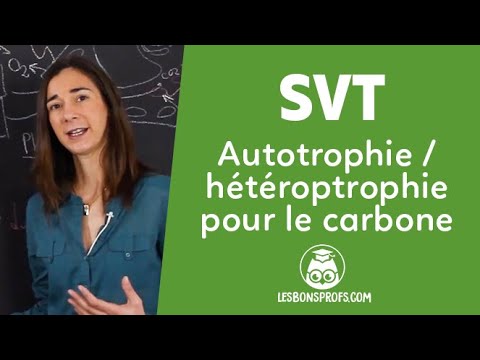 Autotrophie / hétérotrophie pour le carbone