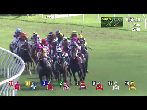 16/5/2021 (675) Mercurial- J Moreira