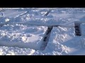 Dog in Snow Maze 