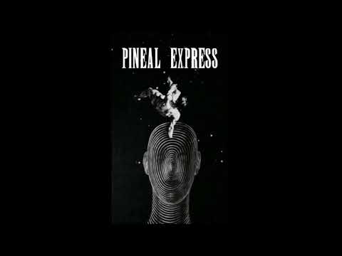 Episode 12 - Charles Goodman on Buddhism, Compassion, and Ethics