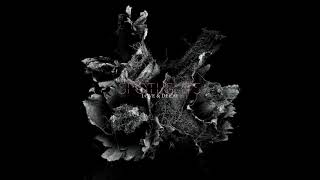 Spotlights "The Age Of Decay" (pre-order now)