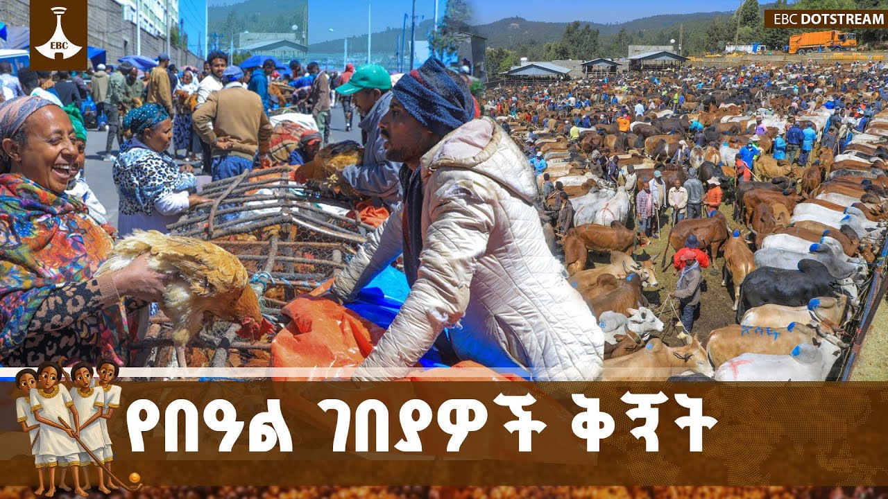 የገና በዓል ግብይቶች ቅኝት በተለያዩ የኢትዮጵያ ከተሞች | Gena | Market |  Ethiopia | ETV | EBC | EBCD