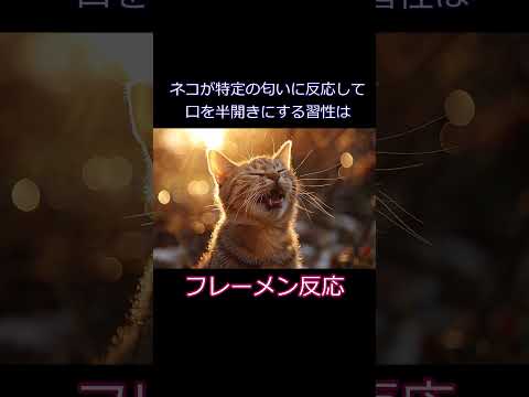 なぜ猫は甘いものを味わえないのでしょうか?