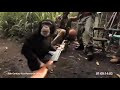 Giving Monkey A Gun AK47 GONE WRONG Shot On IPhone Meme