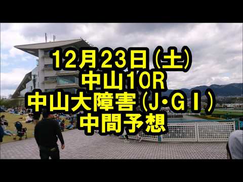 競馬障害予想　2017.12. 23(土)　中山10R 中山大障害(J・GⅠ)中間予想