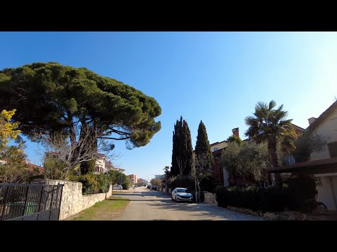 Novigrad Neighborhoods: Šaini Walk on a sunny day, feeling spring in the air.