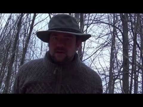 "Angst" im Wald? (Teil 1)