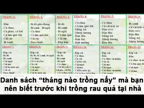 , title : 'Danh sách “tháng nào trồng nấy” mà bạn nên biết trước khi trồng rau quả tại nhà'