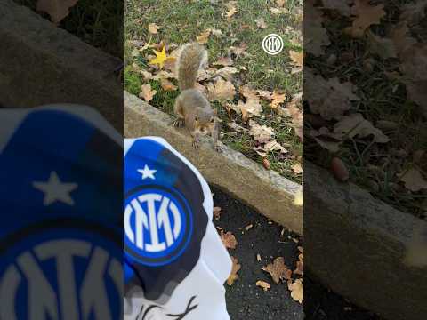 Turn up the volume and let the sounds of the city guide you 🔊🏙️#IMInter #Shorts