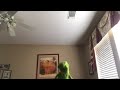 Kermit Sings Happy Feet