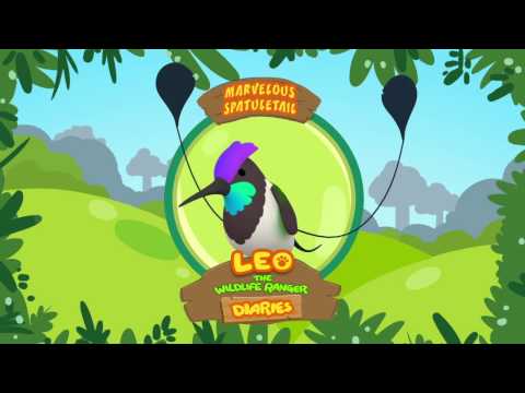 Witness21  2018 08 23