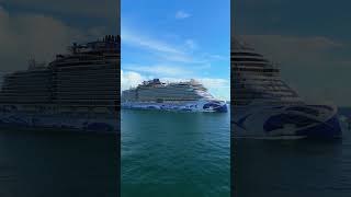 💜🤍🩵NCL VIVA! #cruiseship #cruise