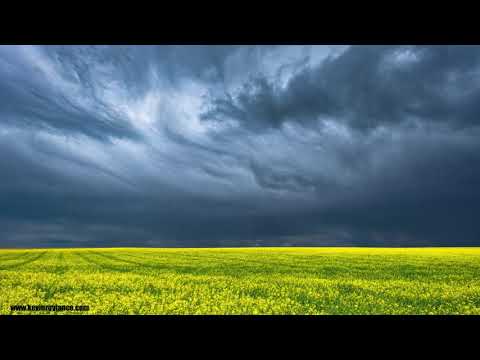Storm Time Lapse over a Canola Field - Moses Lake, WA