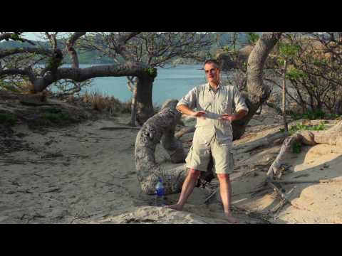 Se quema el cielo - Trailer Oficial