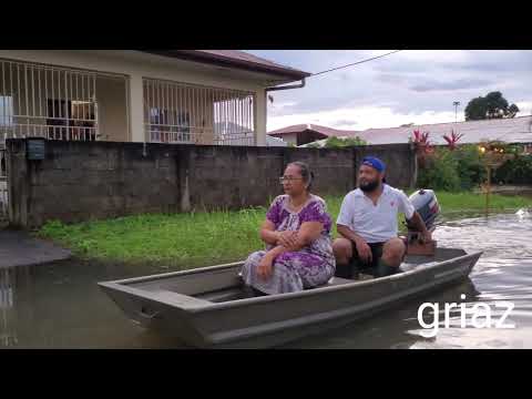 Suriname onderwater. noord regenweer