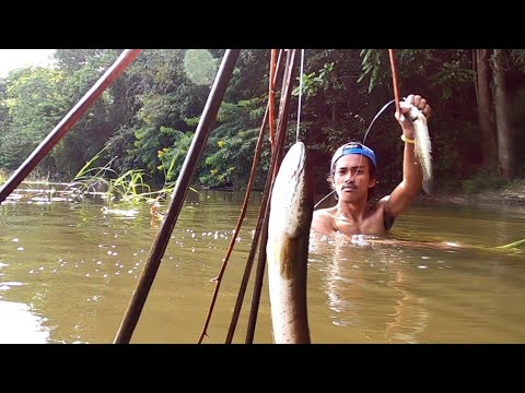 PART2  PAMAMANTI AT PATUKBA NG MGA TILAPYA PERO MGA DALAG ANG NAHULI