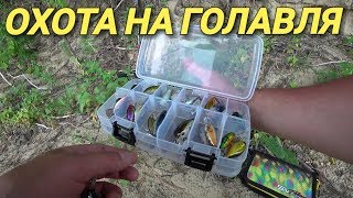 Ловля голавля осенью на оке