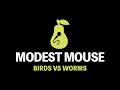 Modest Mouse - Birds vs Worms (Karaoke)