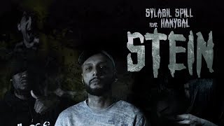 Stein Music Video