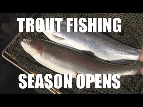 Fieldsports Britain – Trout fishing and the first roebuck of the season Fieldsports Britain – Trout fishing and the first roebuck of the season