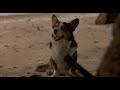 Robinson Crusoe 1997
