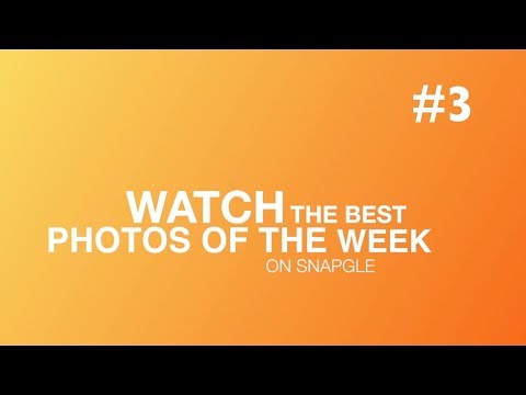 Photos of the Week - Week 3