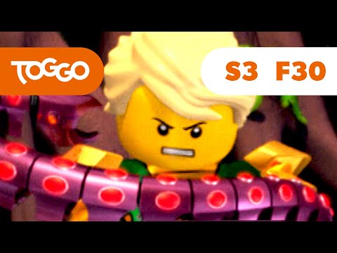 NINJAGO Deutsch | Die Legende des Goldenen Meisters | S3 E30 | LEGO | Ganze Folge | TOGGO ​Serien