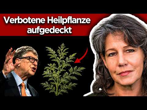 Vorschau Video: Artemisia annua