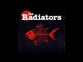 11 ◦ The Radiators - Falling Through The Bottom Line