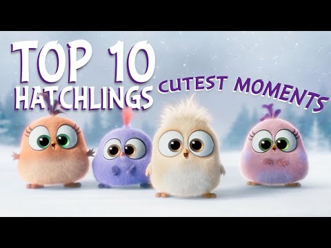 Angry Birds | Top 10 Hatchlings Cutest Moments